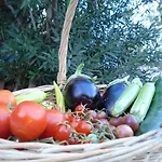 דירה Leros Eleonas *