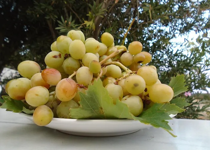 Leros Eleonas