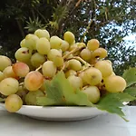 Leros Eleonas