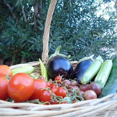 Apartamento Leros Eleonas *