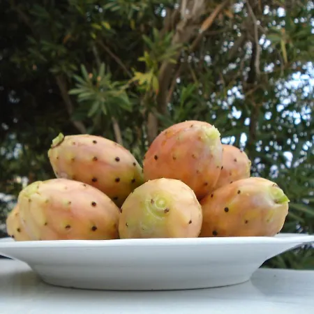 Apartamento Leros Eleonas *