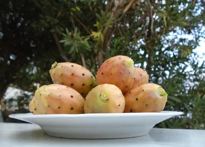 Apartamento Leros Eleonas *